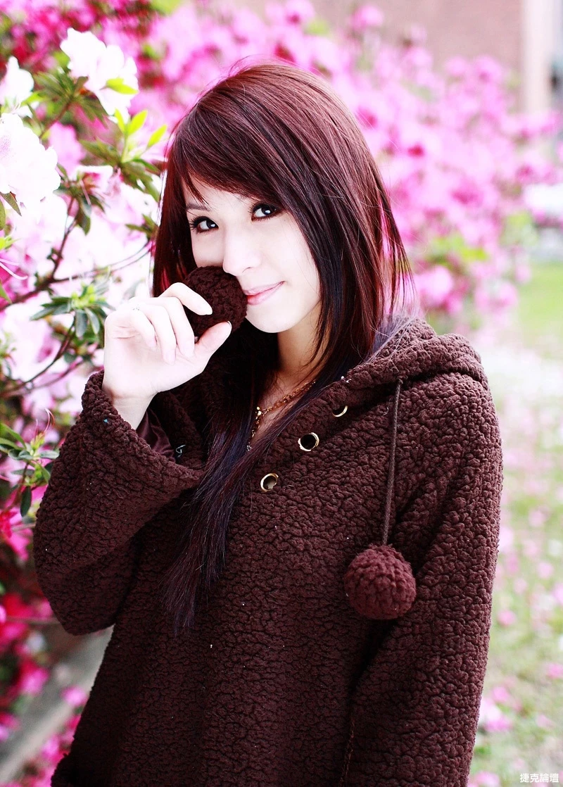 17526713.webp
