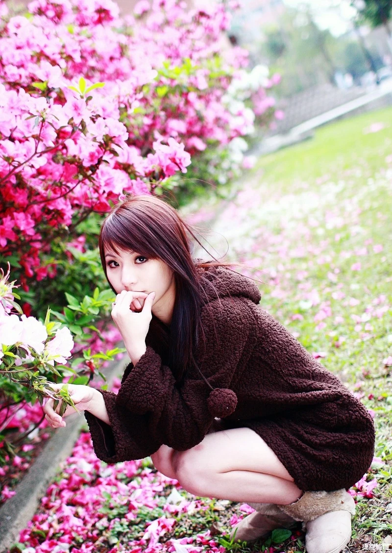 17526726.webp