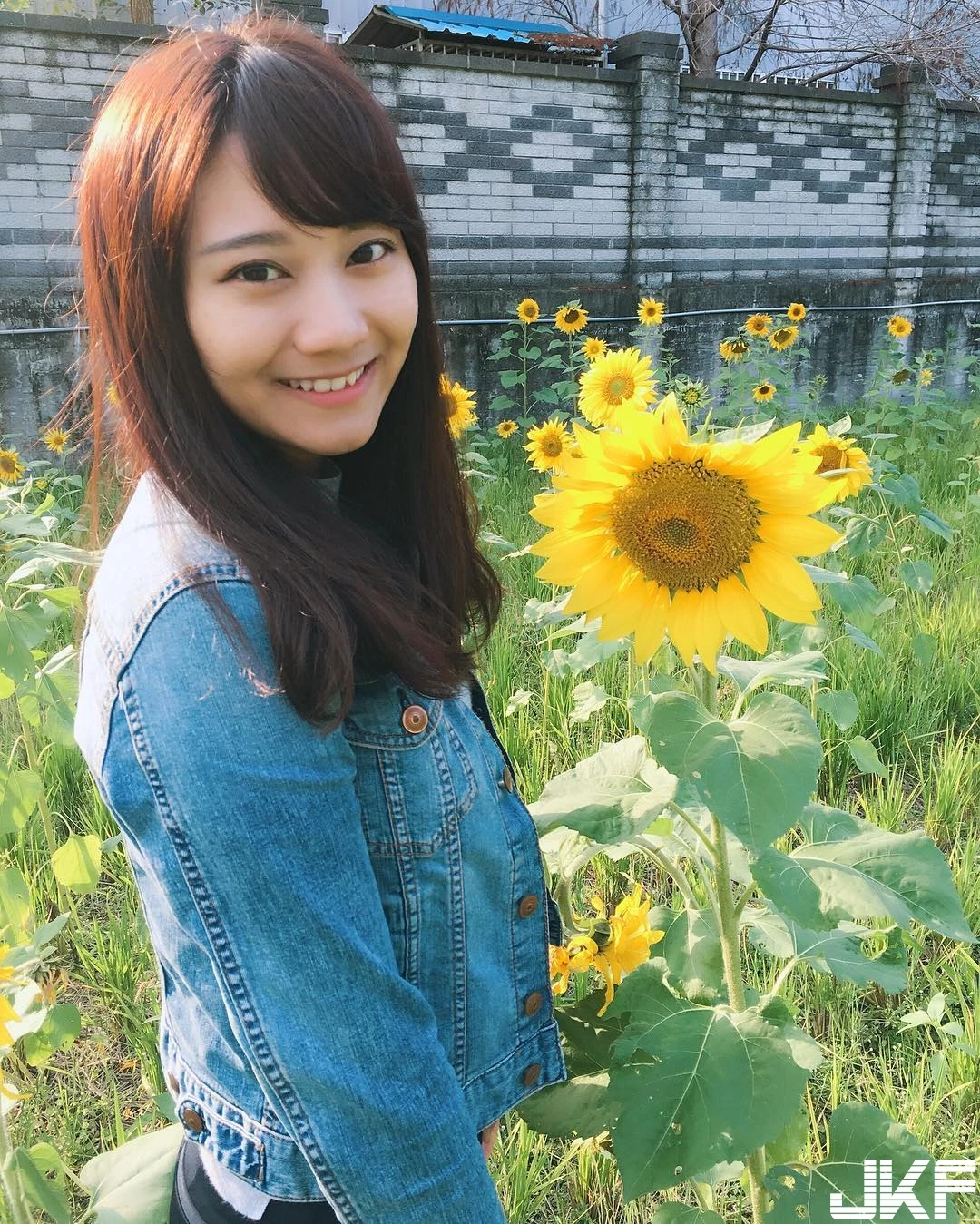 4935103.webp