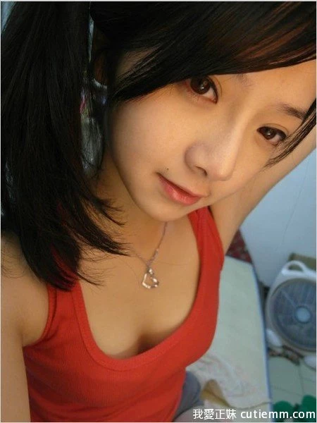 7277113.webp
