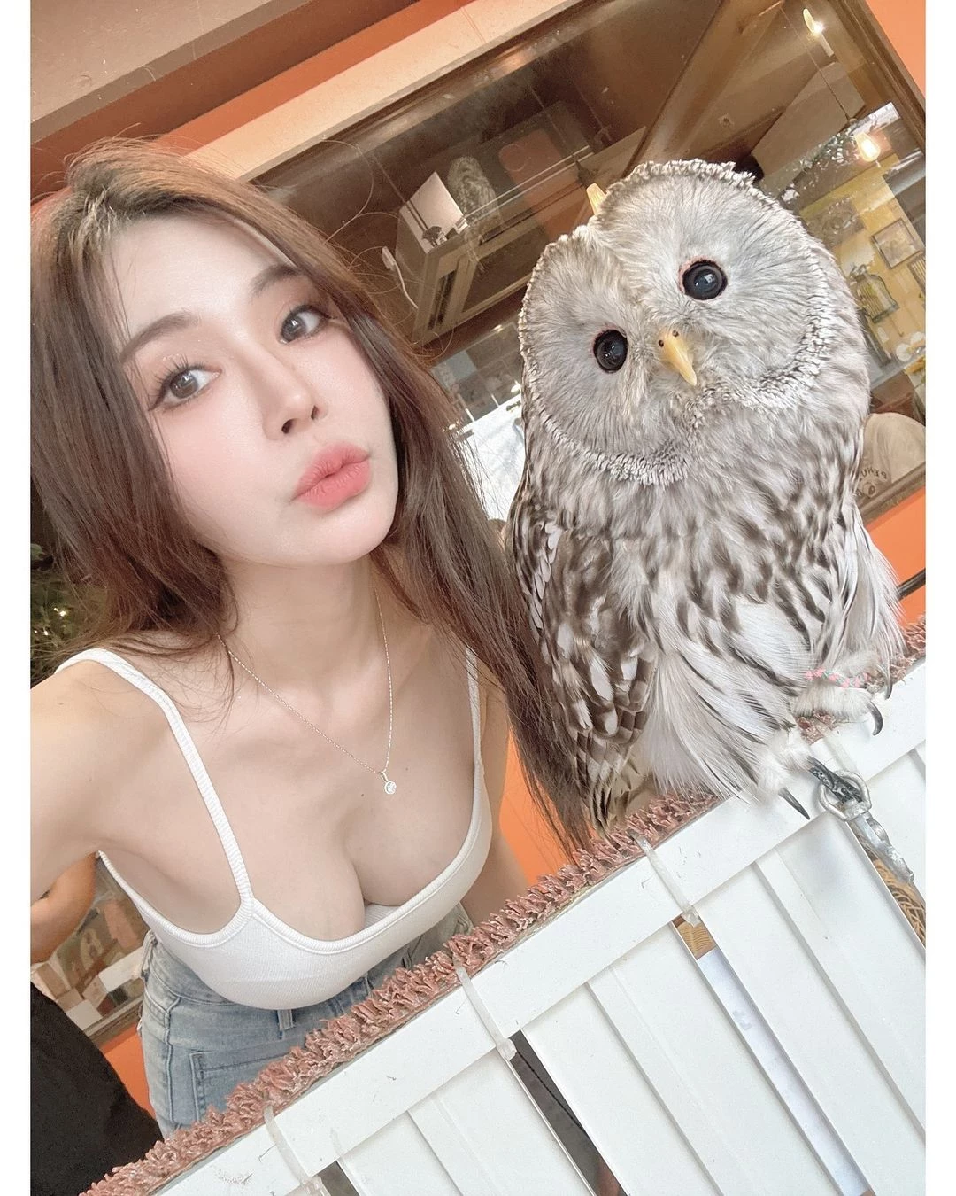 31902995.webp
