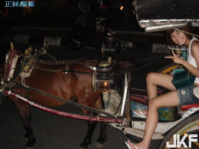 4919024.webp