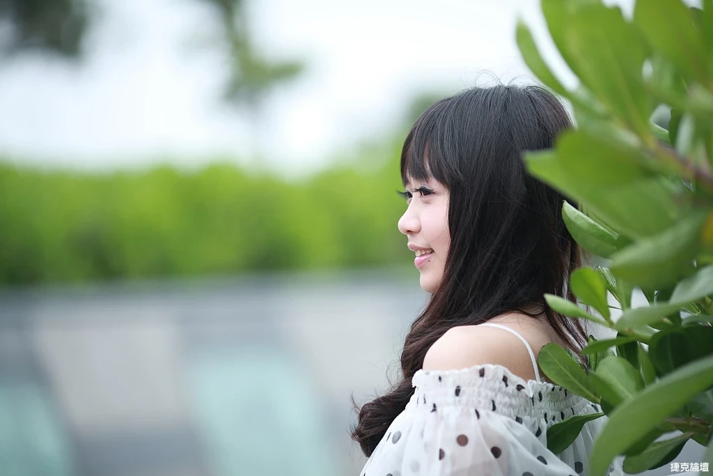 17509266.webp