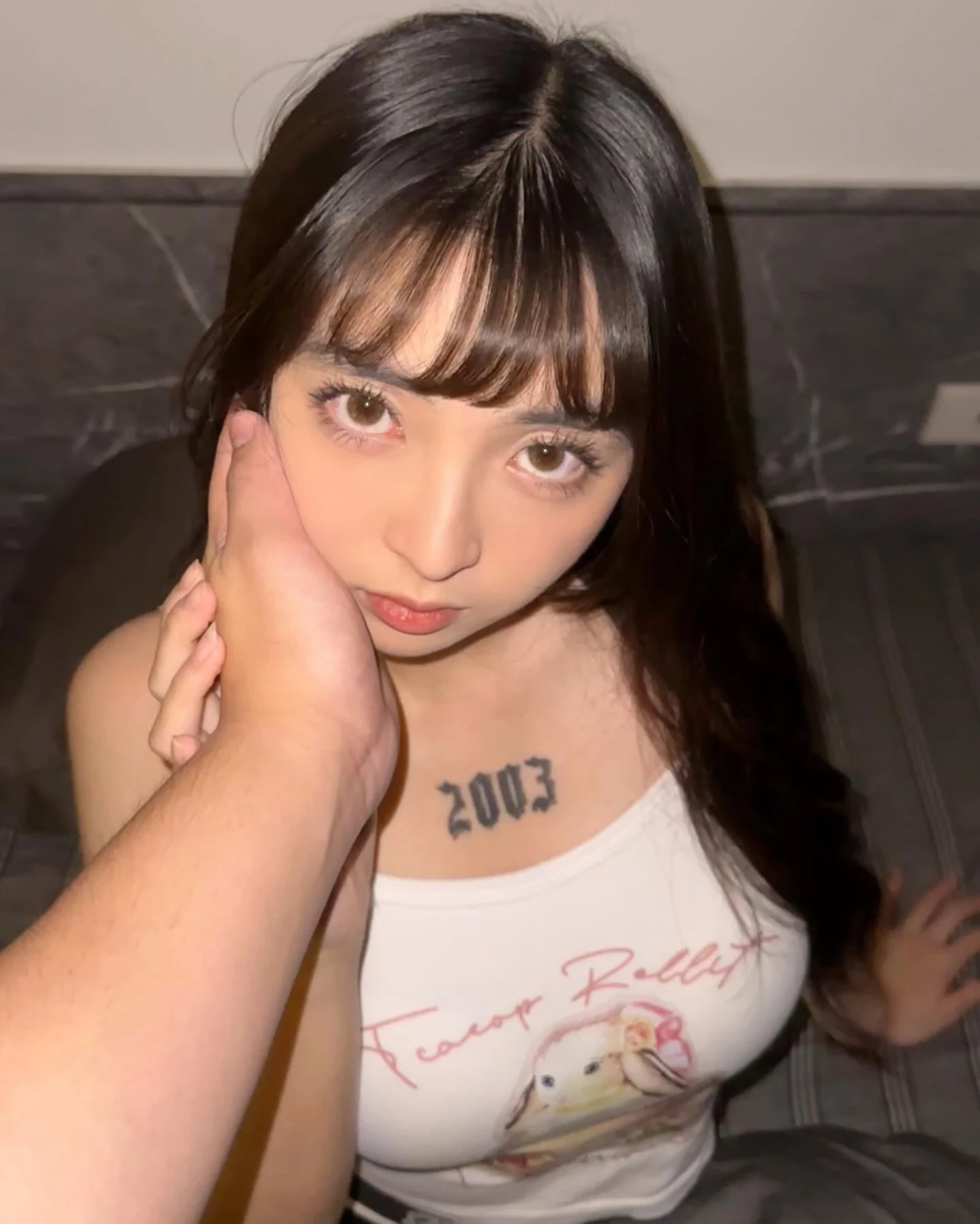 31481620.webp