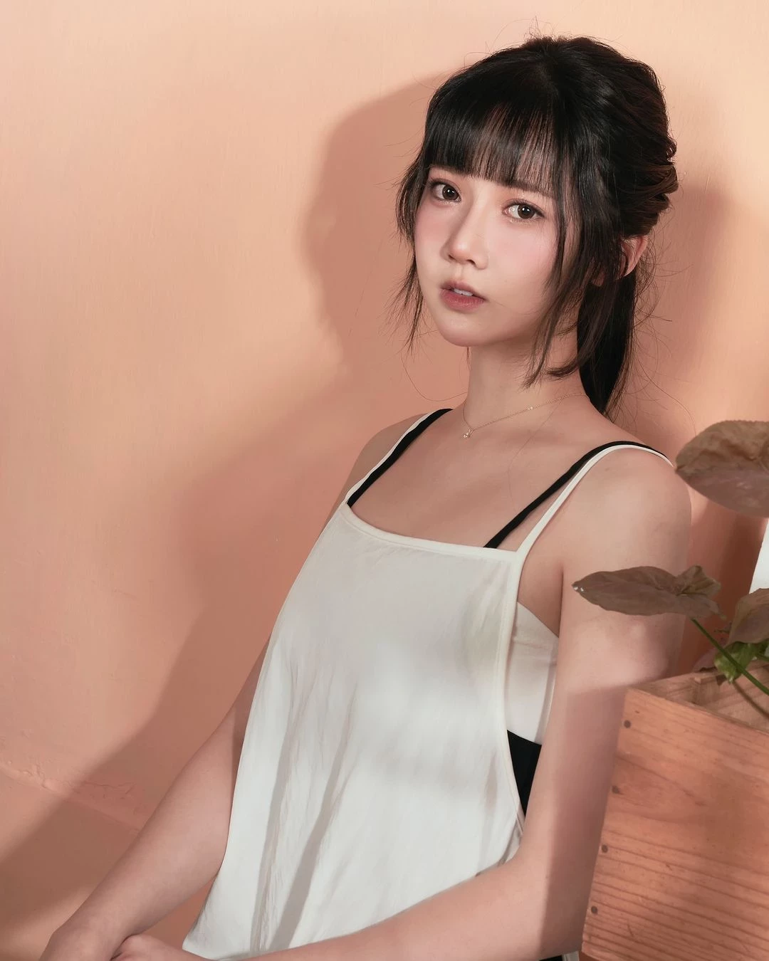31360099.webp