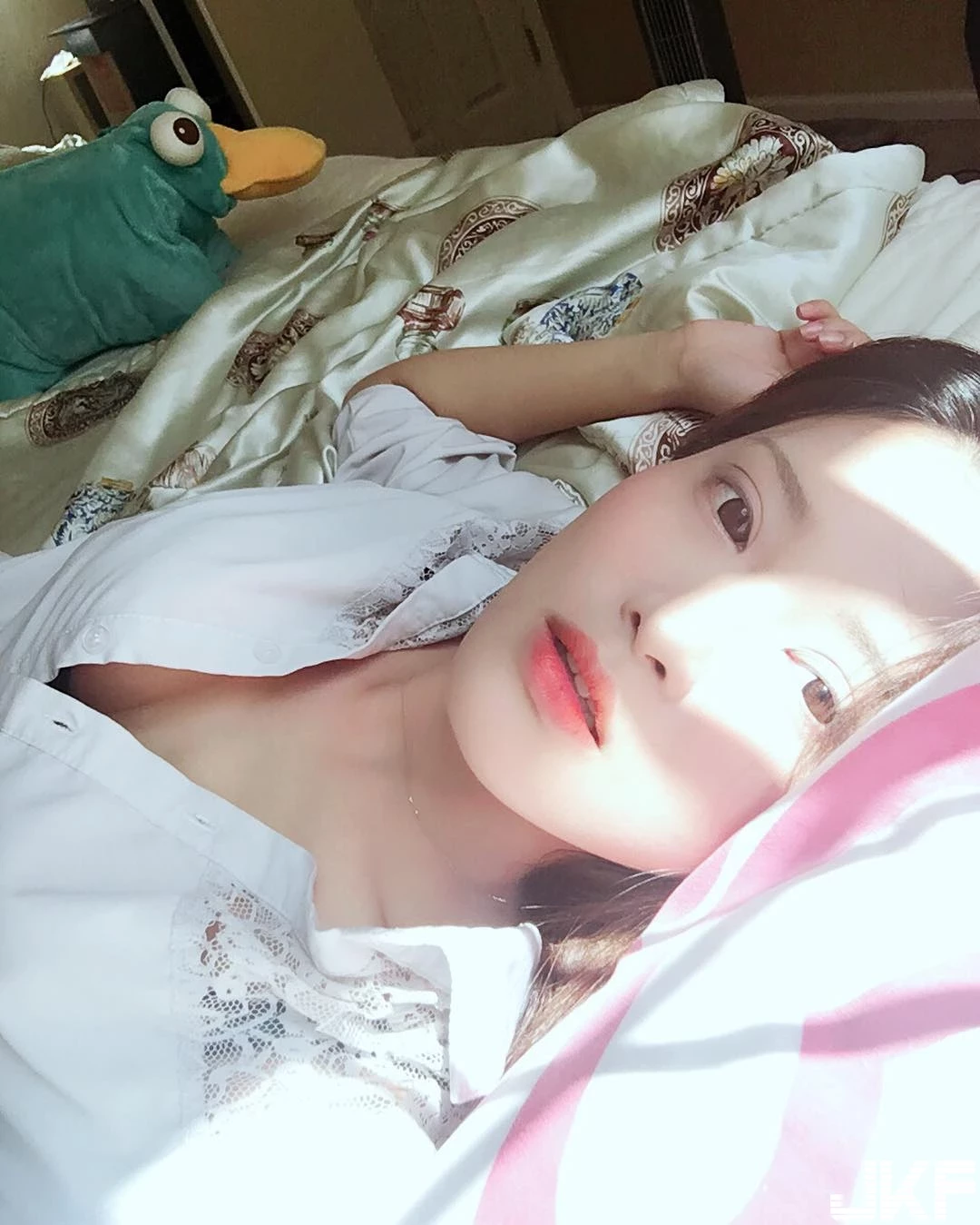 4926199.webp