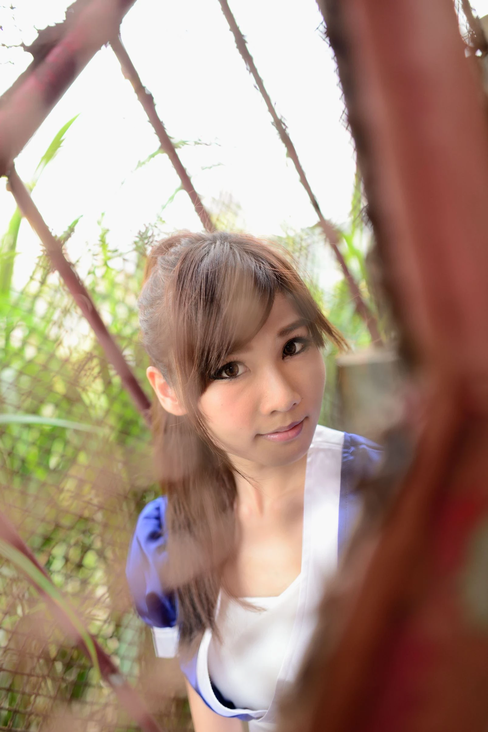 30755719.webp