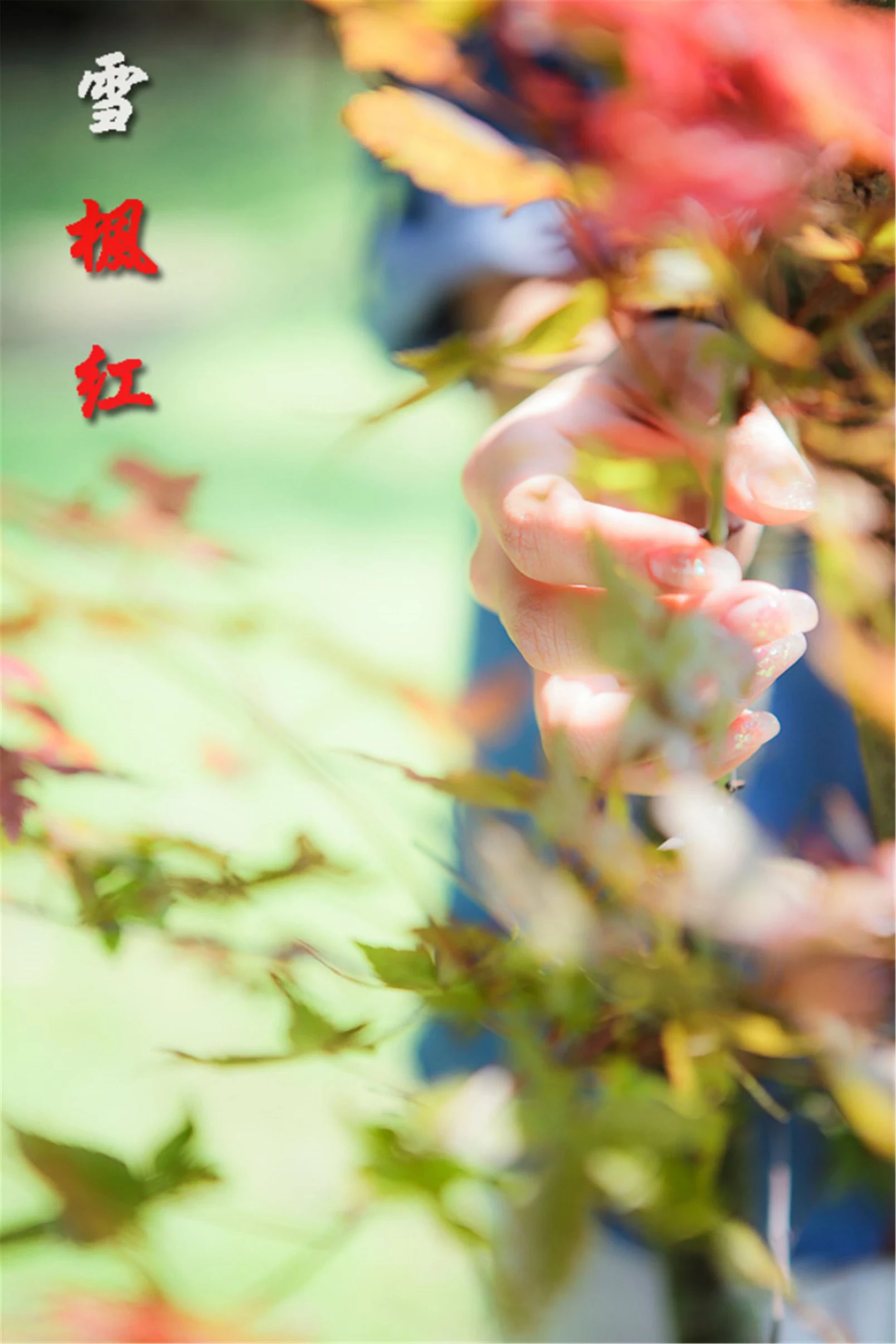 30756980.webp