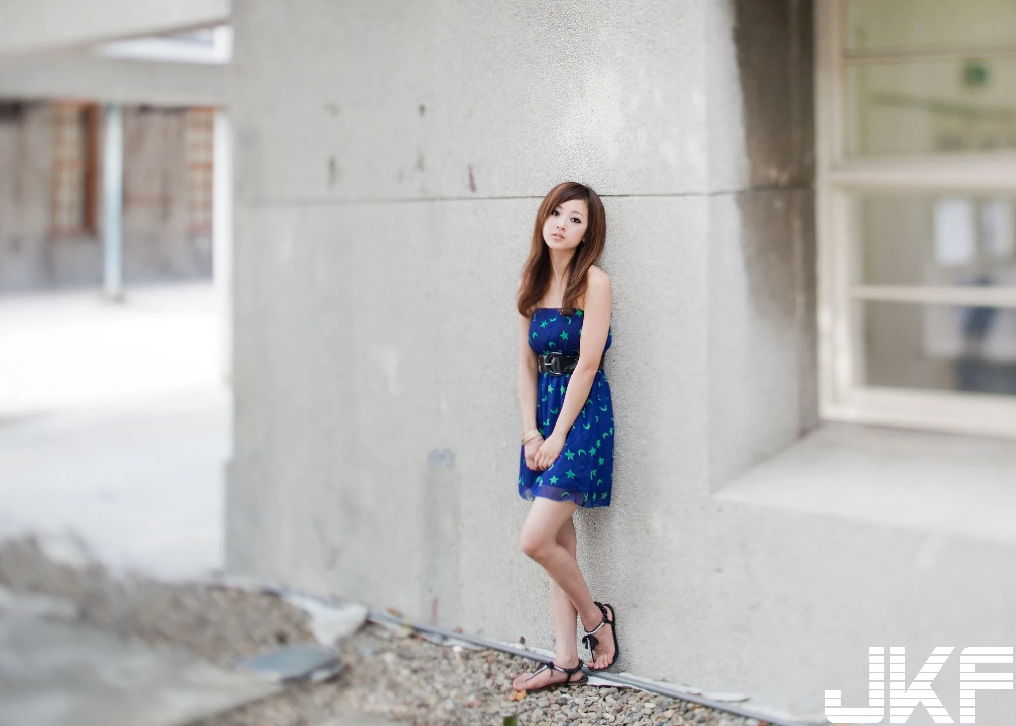 4602442.webp