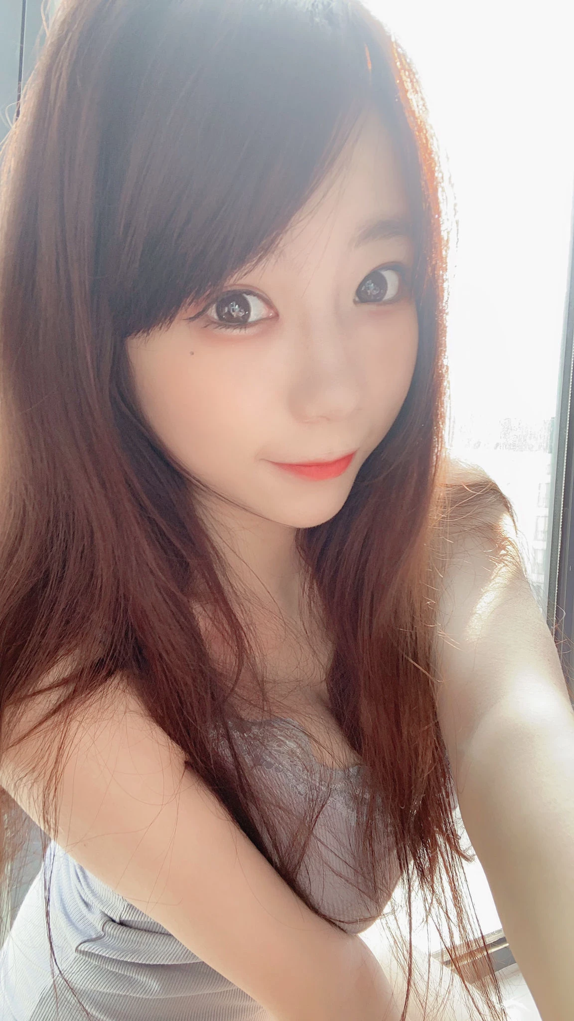 27421274.webp