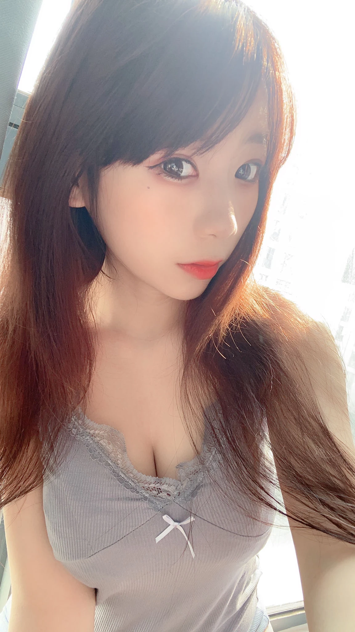 27421279.webp