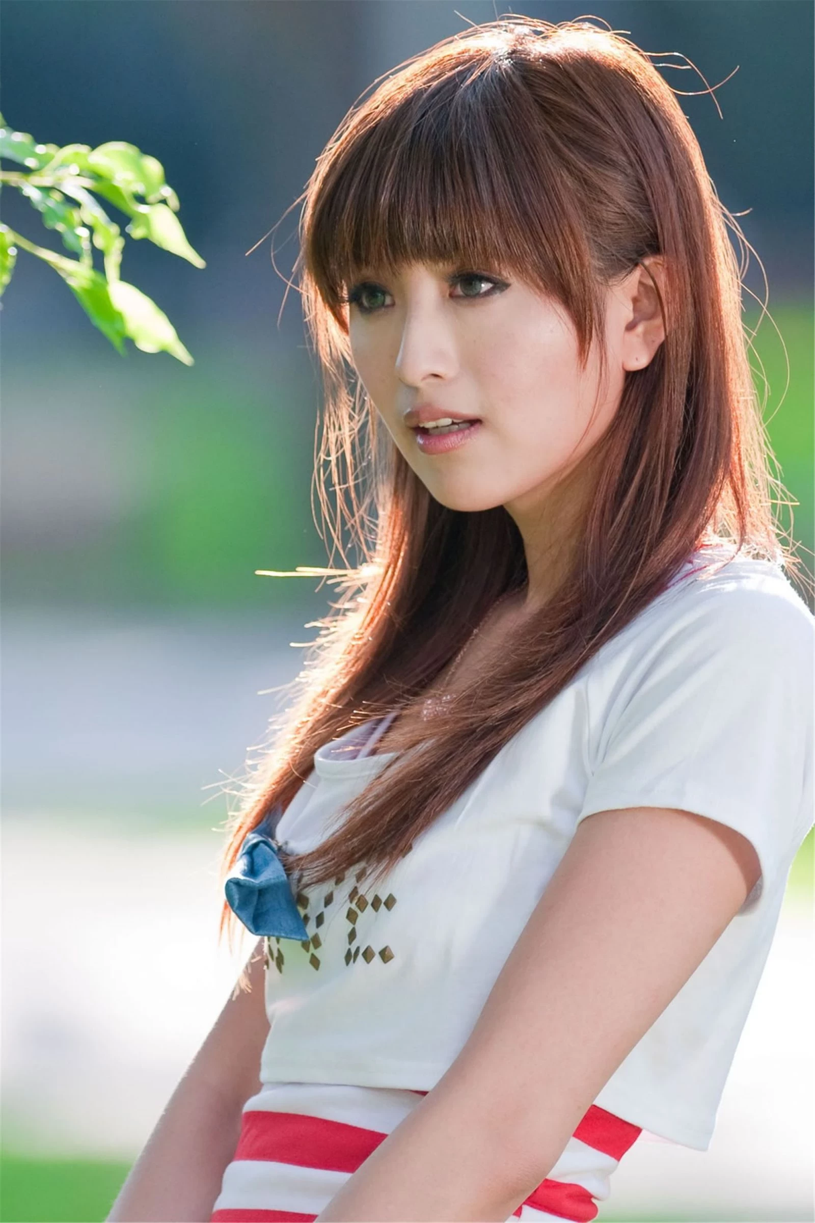 30756815.webp