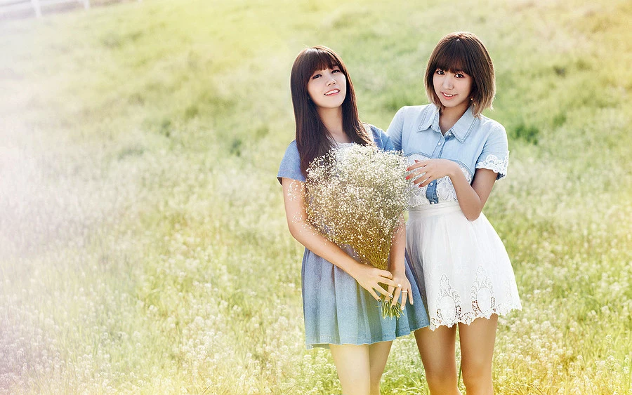 17165895.webp