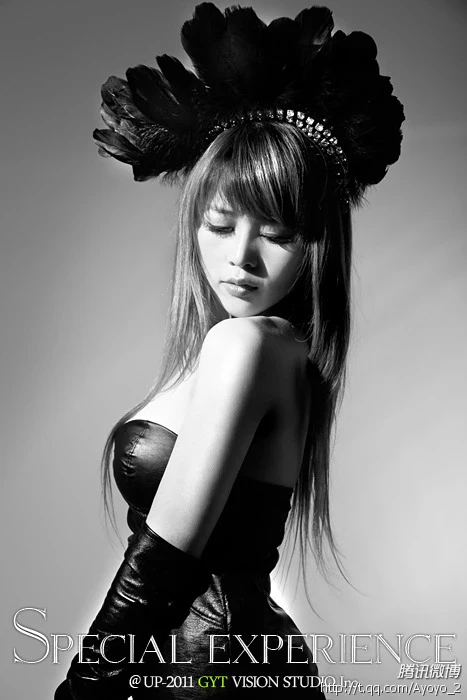 16978290.webp