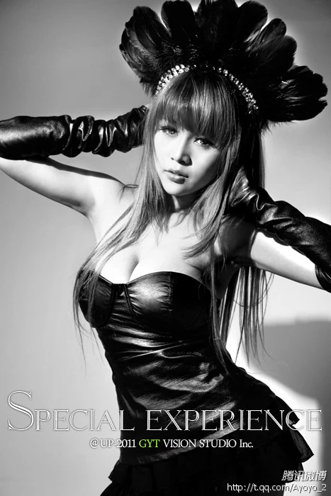 16978288.webp