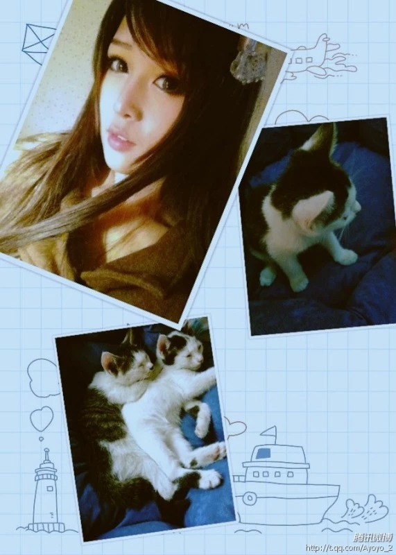 16978298.webp