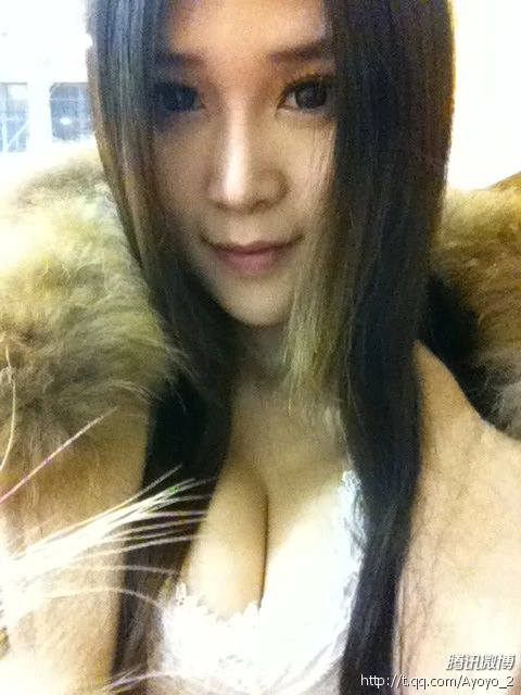 16978308.webp