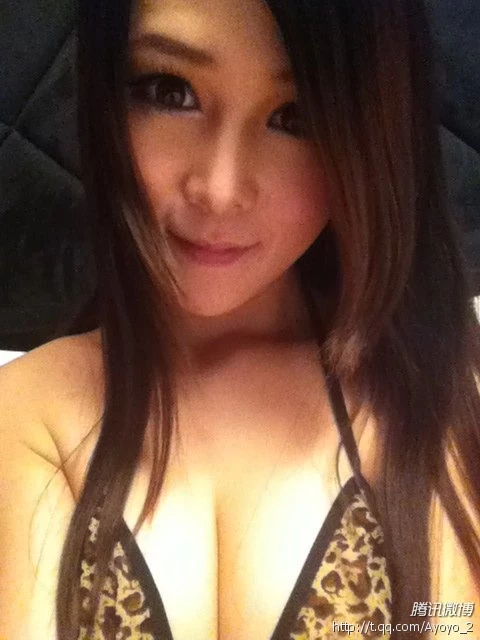 16978306.webp