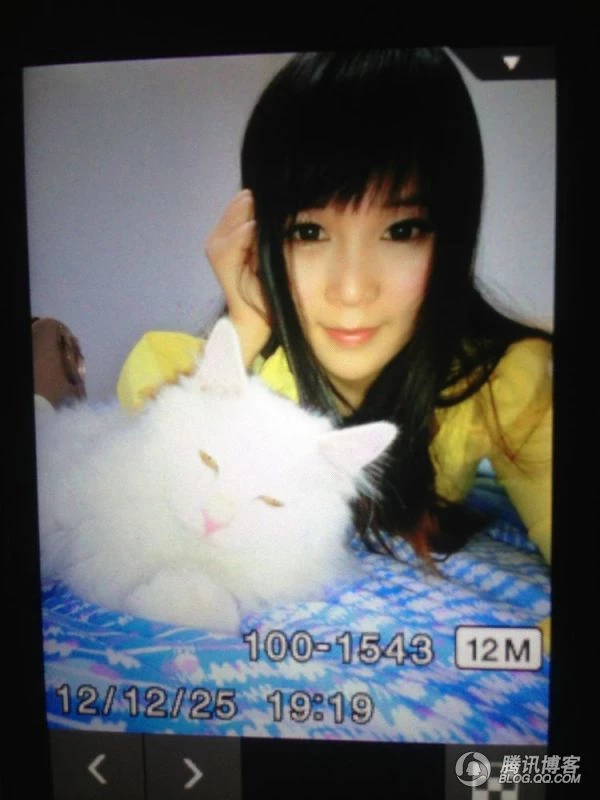 16978323.webp