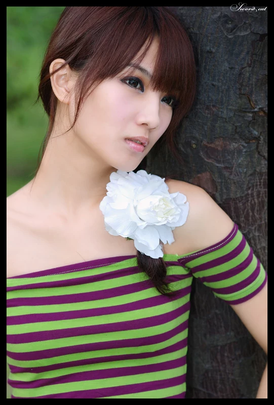 17824661.webp