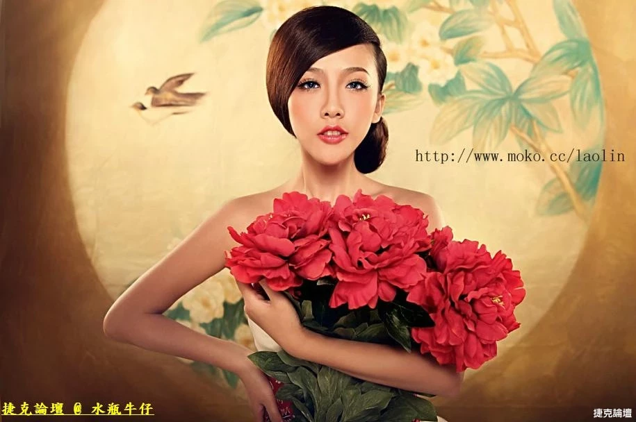 17542244.webp