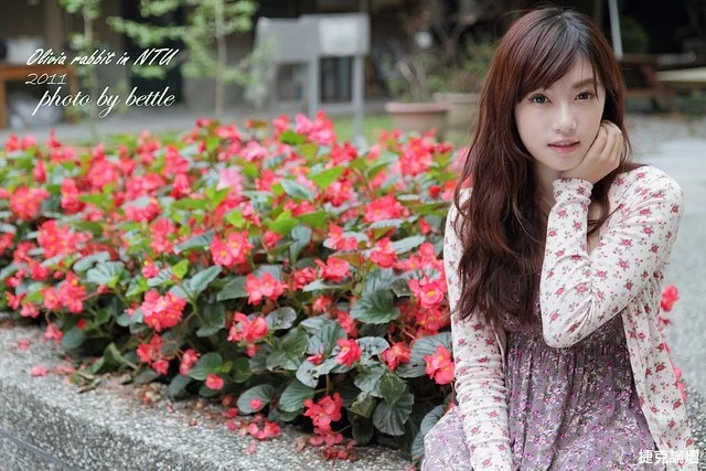 17407343.webp