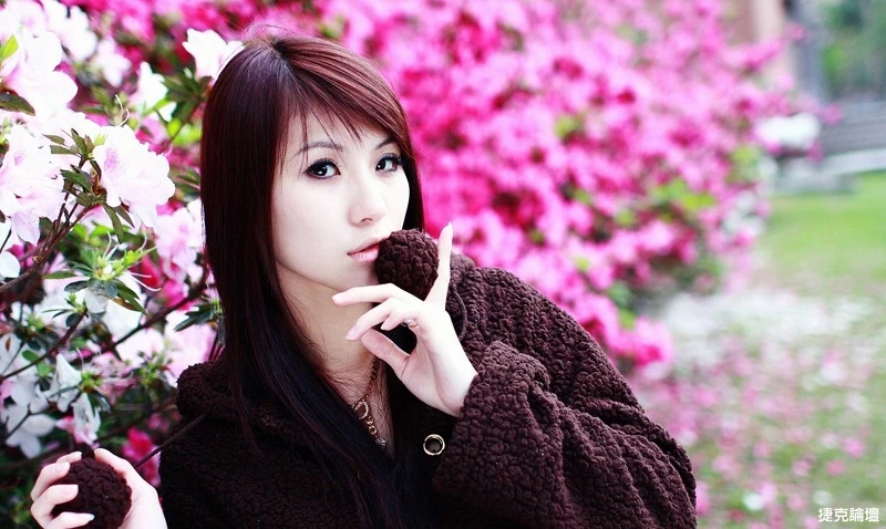 17526712.webp