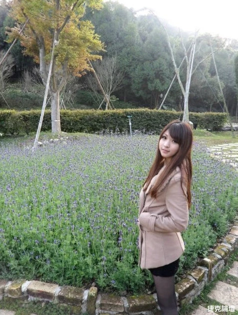 17306596.webp