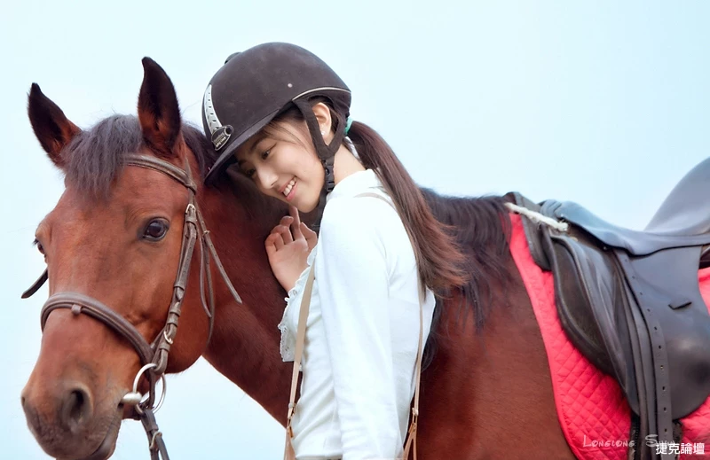 17411678.webp