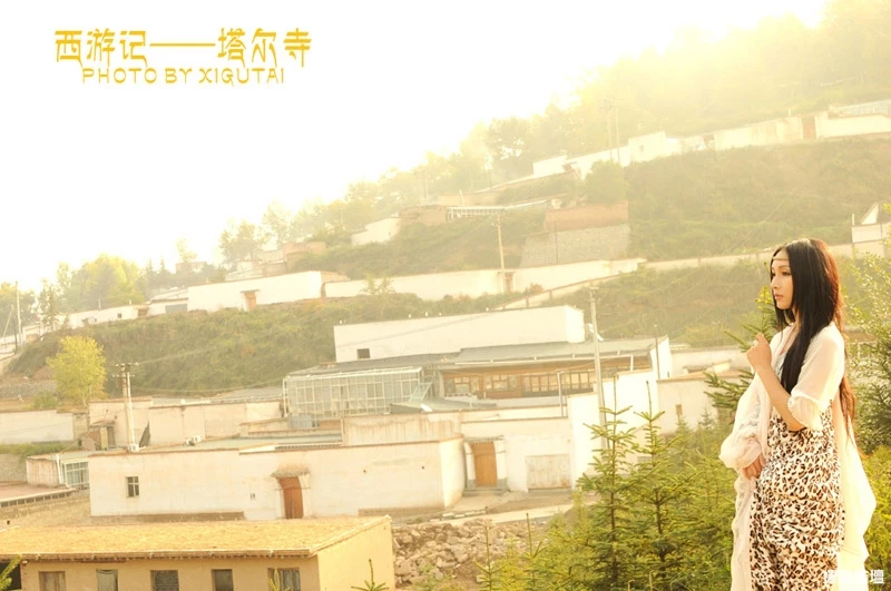 17417433.webp