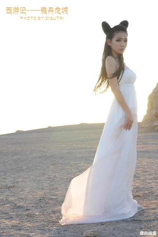 17417436.webp