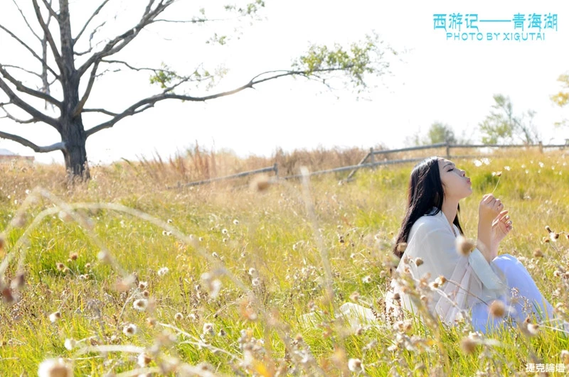 17417445.webp