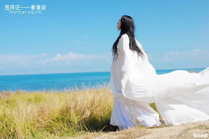 17417444.webp