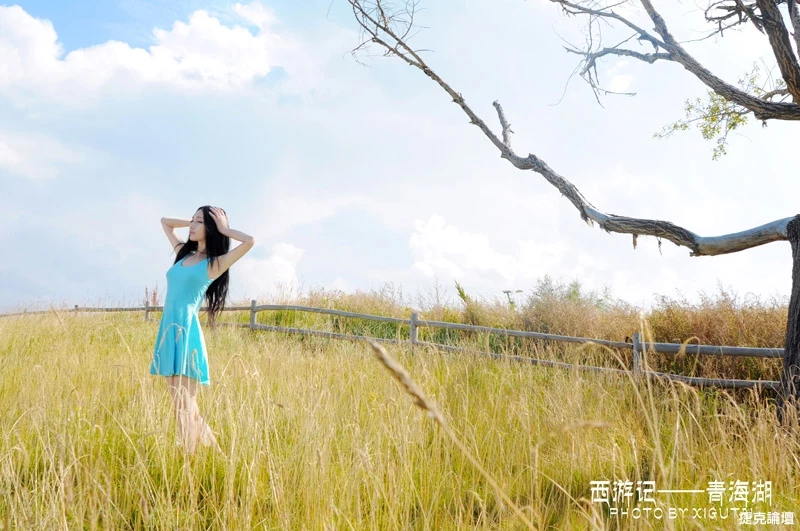 17417446.webp