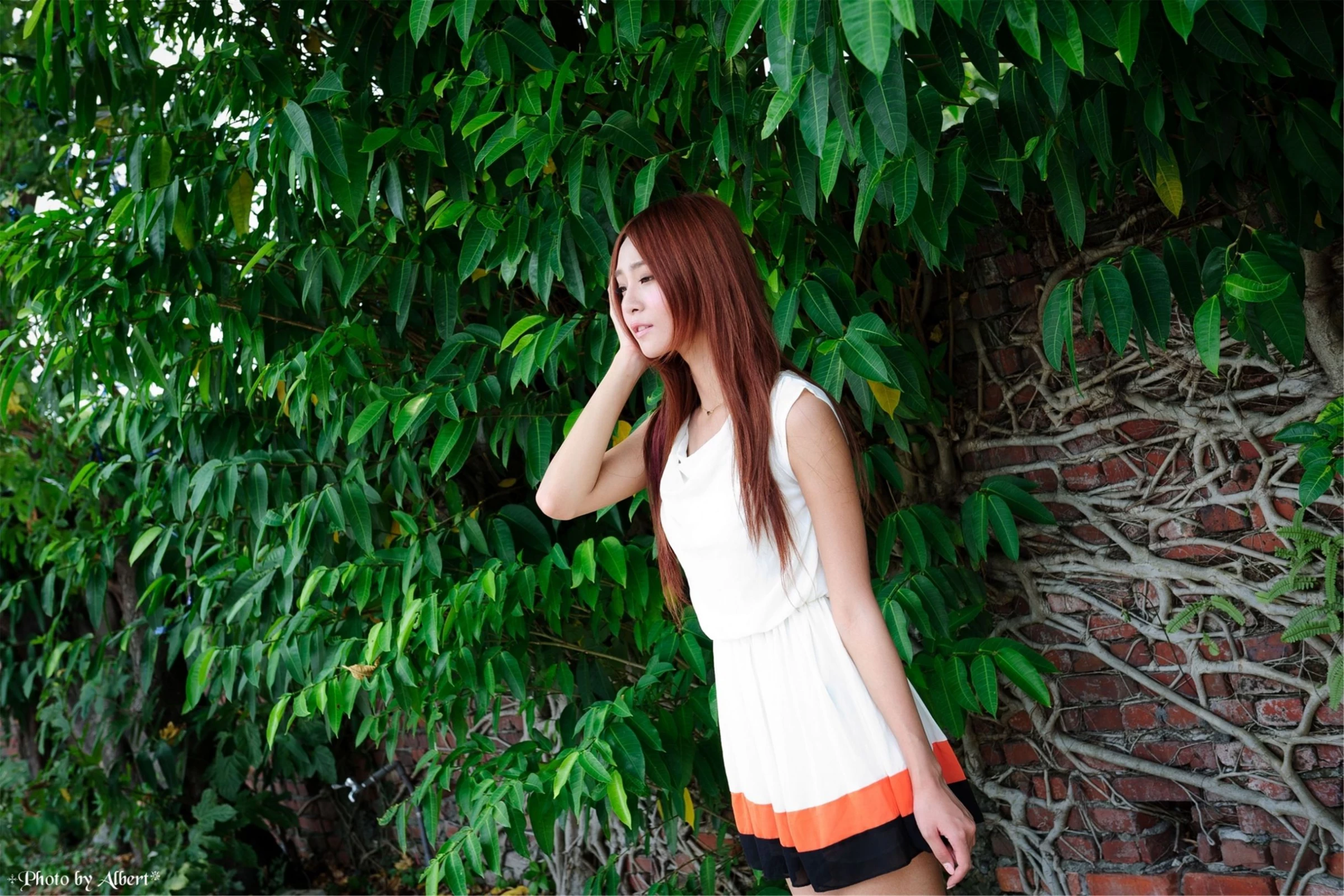 30762870.webp