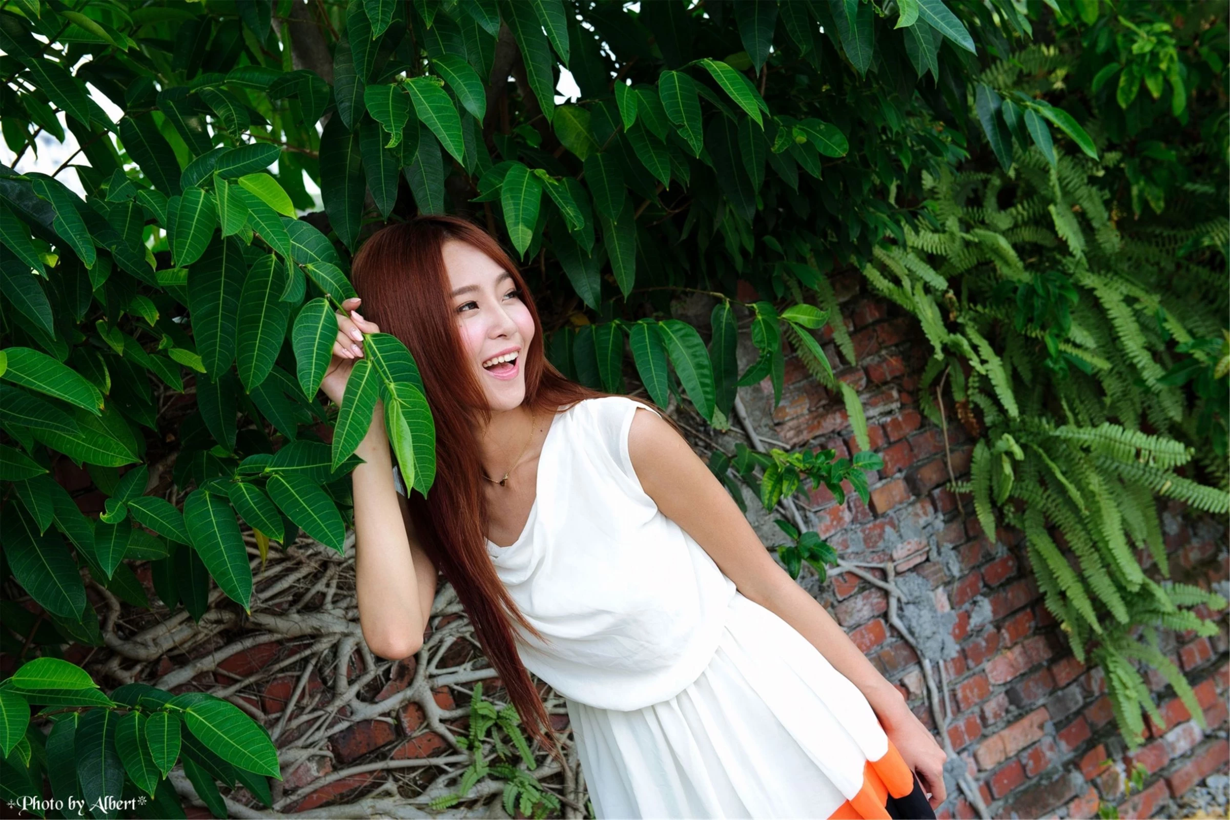 30762911.webp