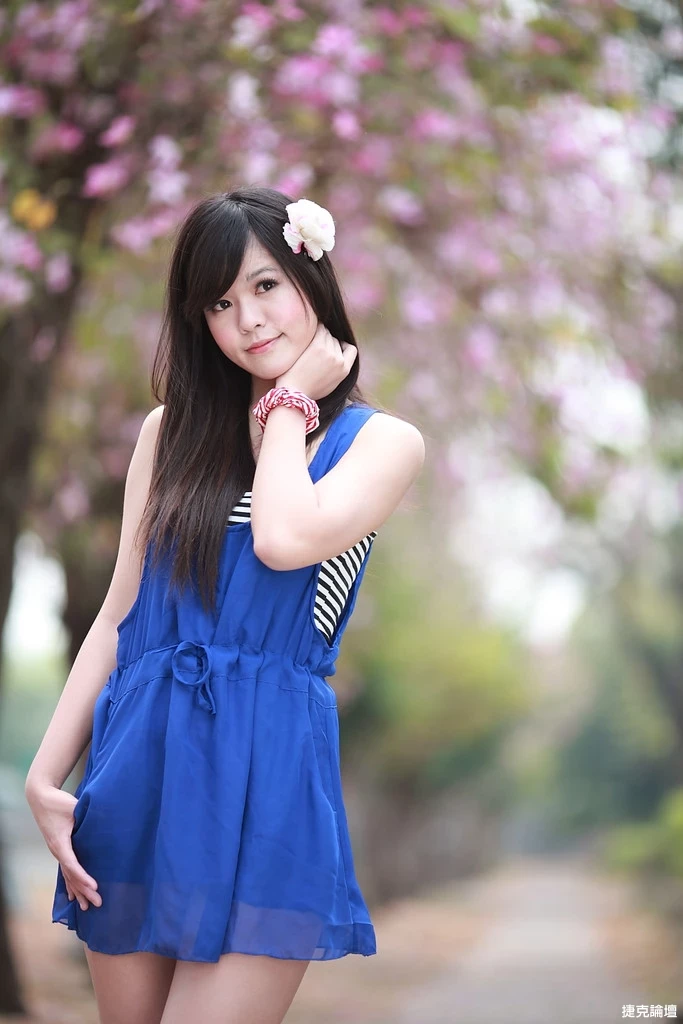 17509241.webp