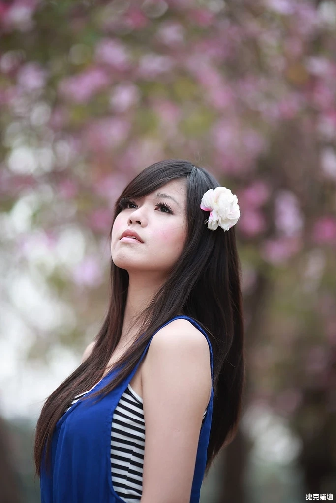 17509242.webp