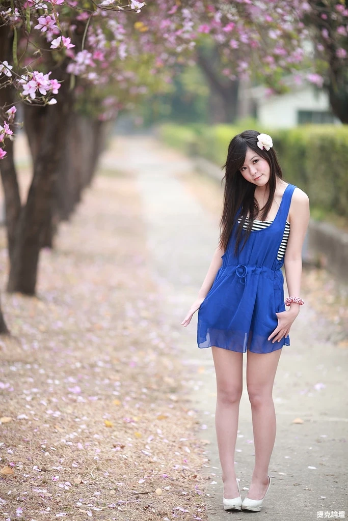 17509243.webp