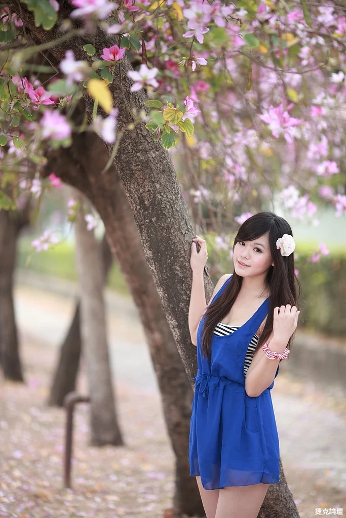 17509245.webp