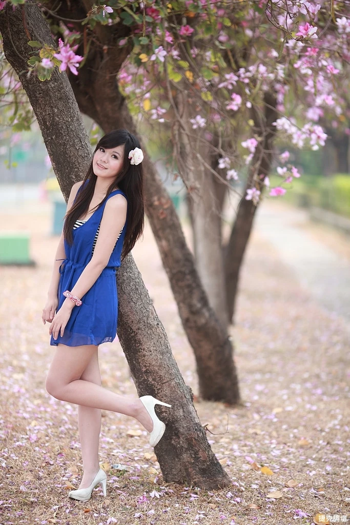 17509244.webp