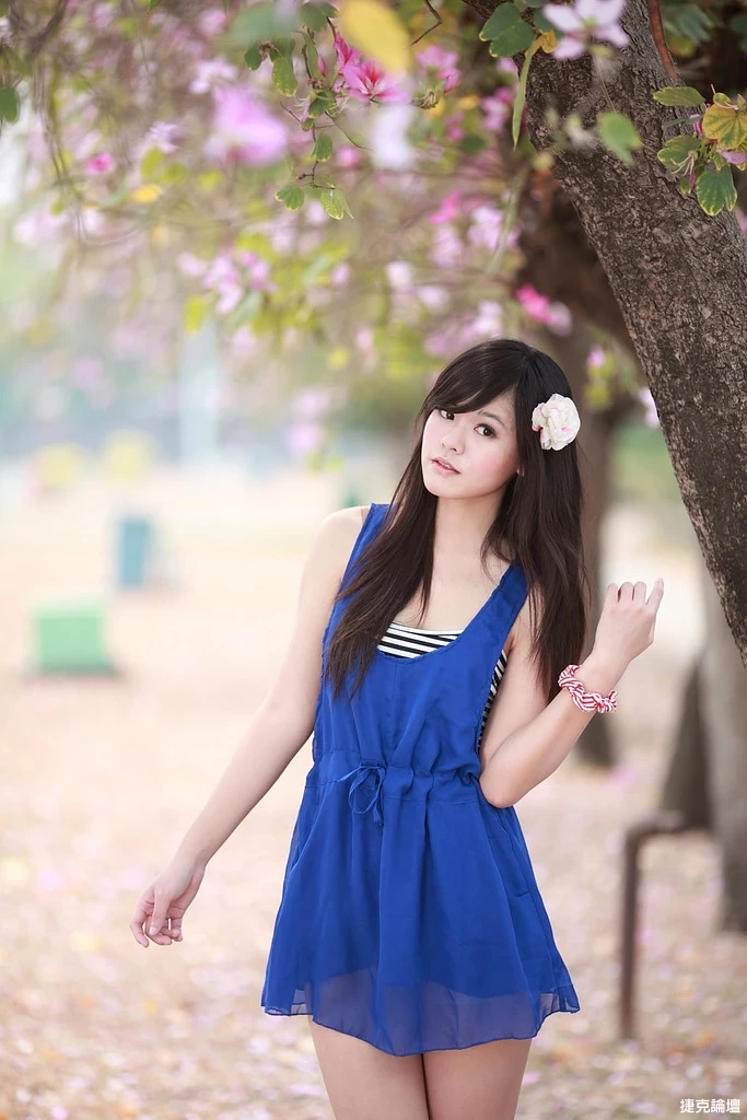 17509246.webp