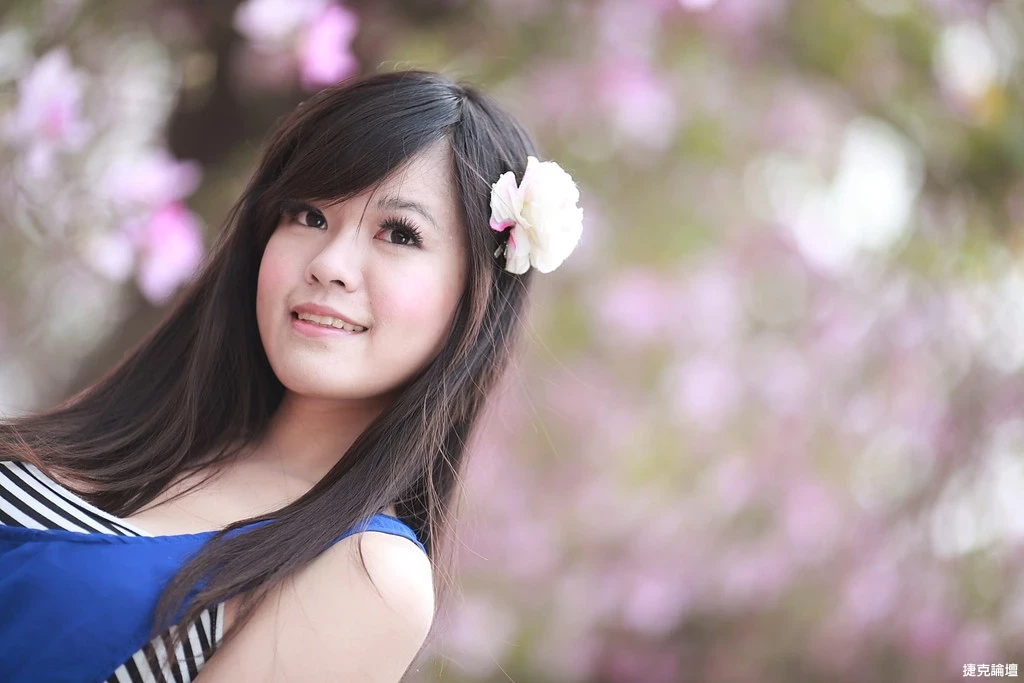 17509254.webp