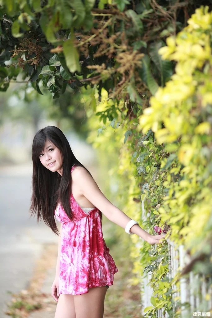 17509255.webp
