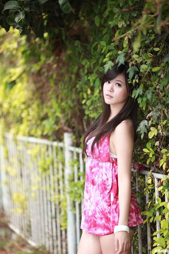 17509260.webp