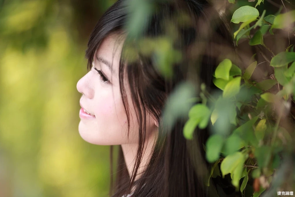 17509263.webp