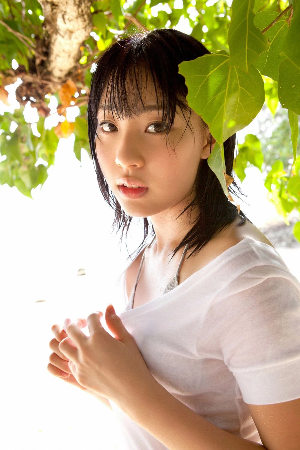 30600567.webp