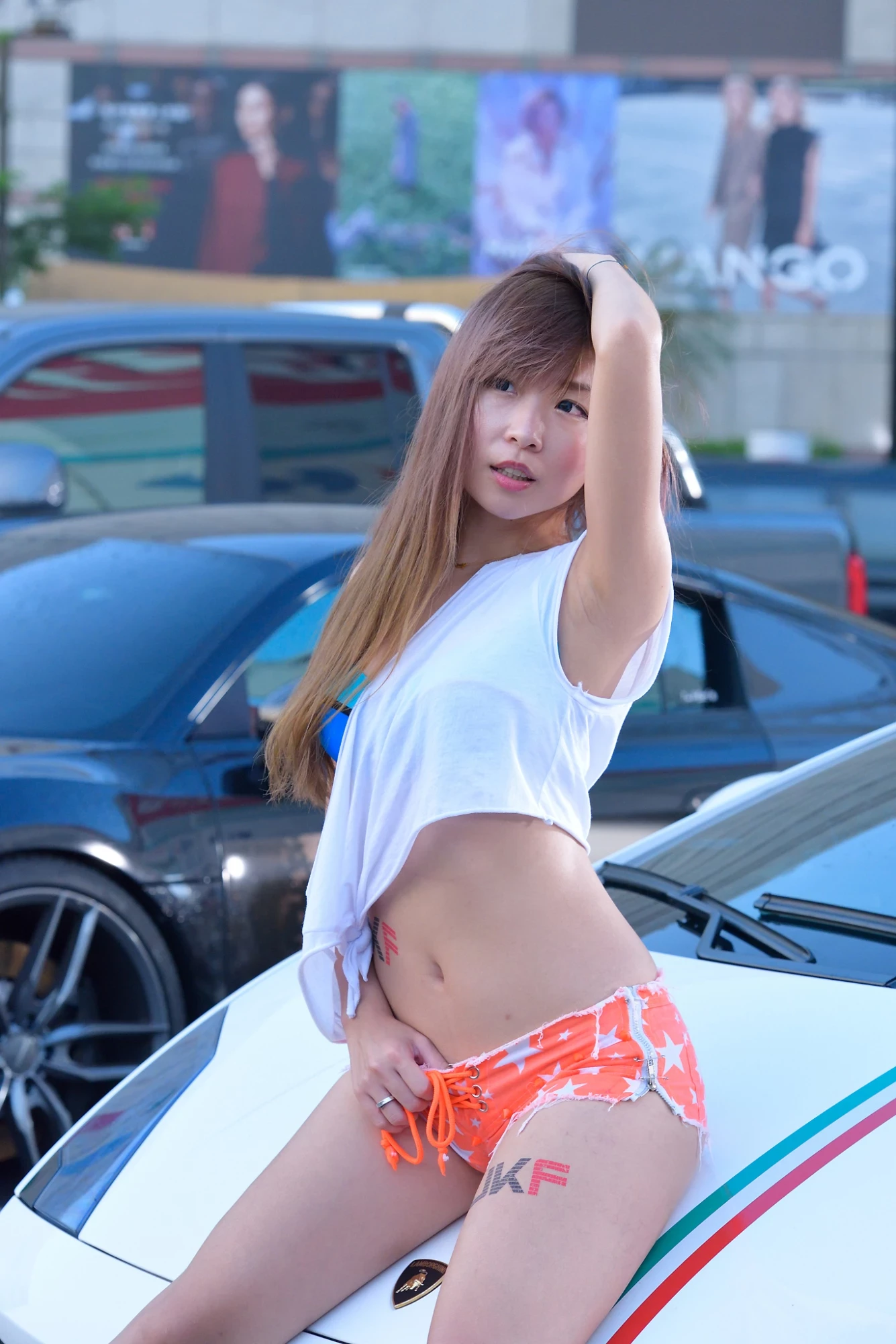16854441.webp