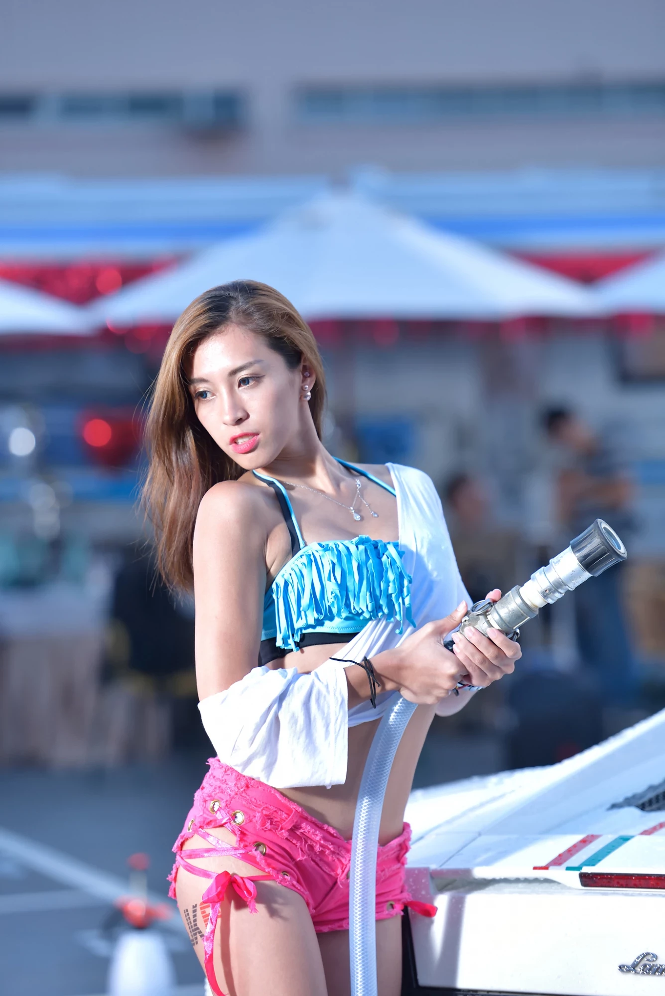 16854445.webp