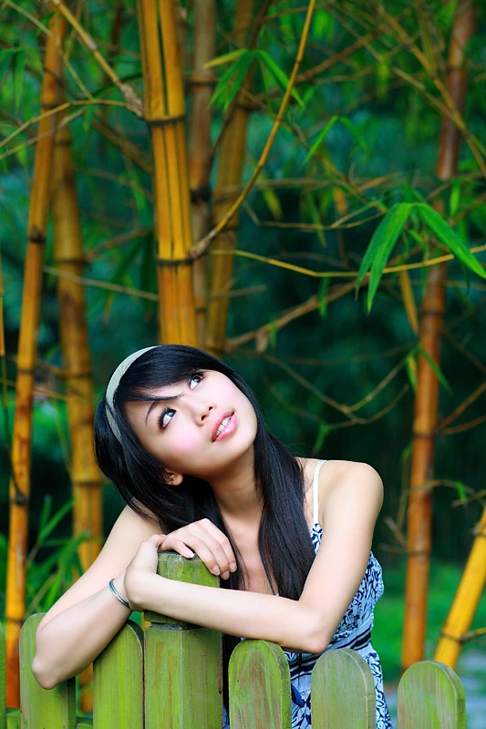 17608361.webp